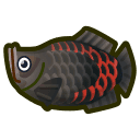arapaima