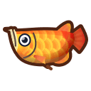 arowana