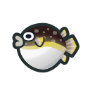 blowfish