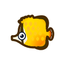 butterfly fish