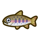 cherry salmon