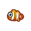 clown fish