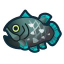 coelacanth