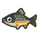 dace