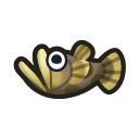 freshwater goby