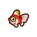 goldfish