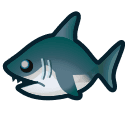 great white shark