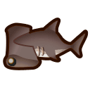 hammerhead shark
