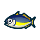 horse mackerel