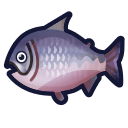 king salmon