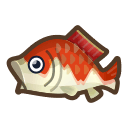 koi
