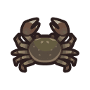 mitten crab