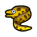 moray eel