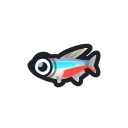 neon tetra