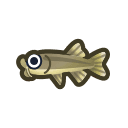nibble fish