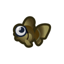 pop-eyed goldfish