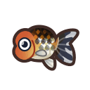 ranchu goldfish