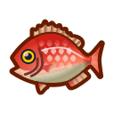 red snapper