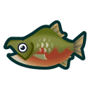 salmon