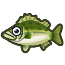 sea bass