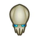 squid