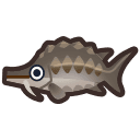 sturgeon