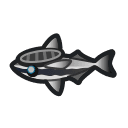 suckerfish