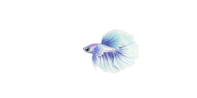 Betta