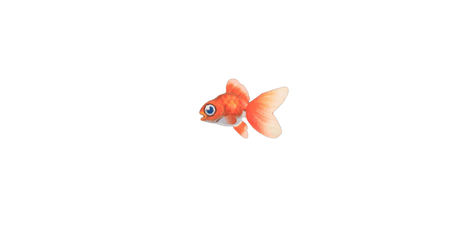 Goldfish
