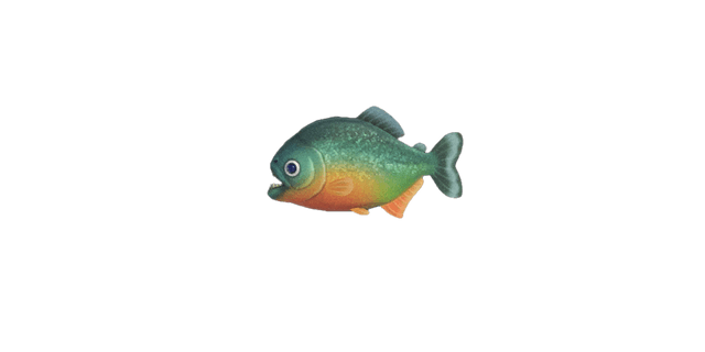Piranha