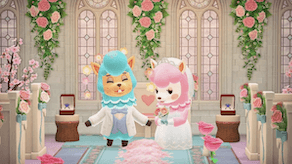 Reese & Cyrus