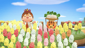 Spring