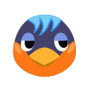 Robin's icon
